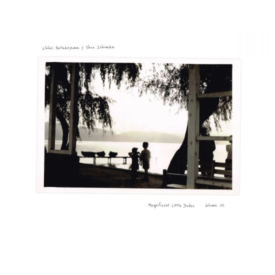 Chihei Hatakeyama & Shun Ishiwaka - Magnificent Little Dudes Vol 2