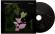 Daniel Lanois - Belladonna Nocturne Daniel Lanois - Belladonna Nocturne