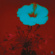 John Beltran - Sunrise And The Way We Live John Beltran - Sunrise And The Way We Live