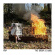 Pup - Dream Is Over (Clear W/ Red & Orang Pup - Dream Is Over (Clear W/ Red & Orang