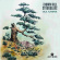 The Down Hill Strugglers - Old Juniper The Down Hill Strugglers - Old Juniper