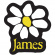 James - Yellow Logo White Daisy Sticker James - Yellow Logo White Daisy Sticker
