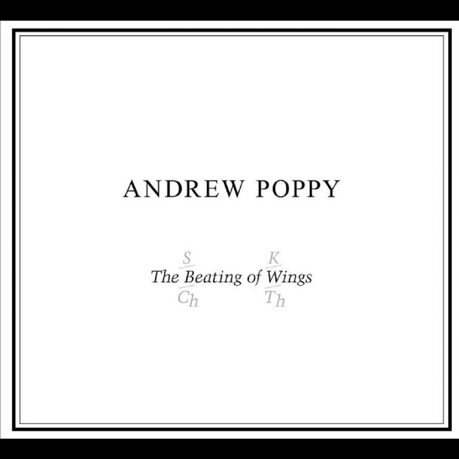 Andrew Poppy - The Beating Of Wings