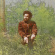 Wiki - Ancient History Wiki - Ancient History