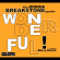 Joshua Breakstone & Barry Harris - Wonderful! Joshua Breakstone & Barry Harris - Wonderful!