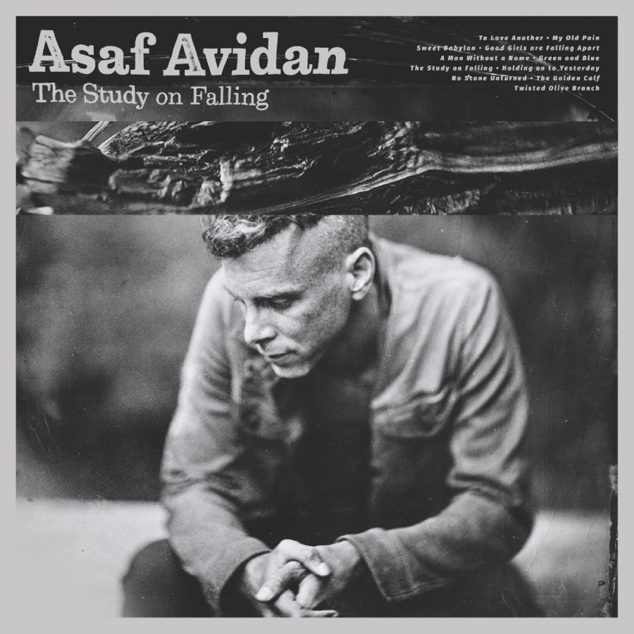 Avidan Asaf - The Study On Falling
