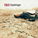 Rjd2 - Deadringer Rjd2 - Deadringer