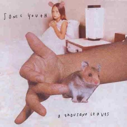 Sonic Youth - Thousand Leaves