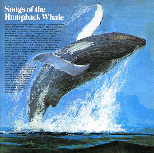 Songs Of The Humpback Whale - Songs Of The Humpback Whale