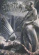 Sinister - Prophecies Denied Limited (Dvd+Cd) Sinister - Prophecies Denied Limited (Dvd+Cd)