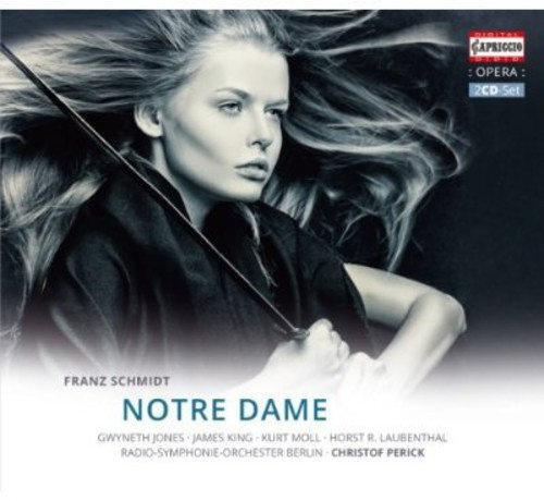 Schmidt - Notre Dame
