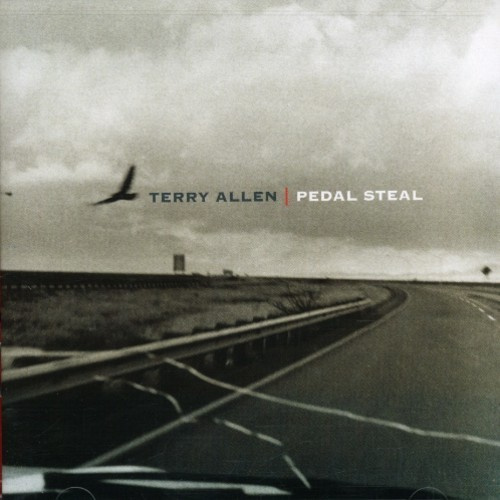 Allen Terry - Pedal Steal