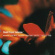 Blandade Artister - Shanti Project Collection 2 Blandade Artister - Shanti Project Collection 2