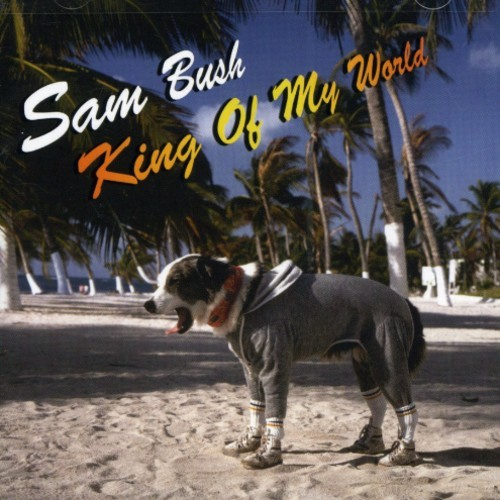 Bush Sam - King Of My World