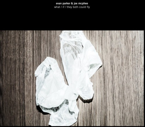 Parker Evan And Joe Mc Phee - What/If/They Both Could Fly