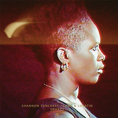 Ford And Lopatim  Shannon Func - Snakes  Flying Dream